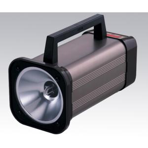 ストロボスコープ　ＤＴ−３１５Ｎ [2-7468-02]