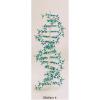 分子構造模型   分子を自由自在に組み立てられる&#40;A5版 140頁&#41;/KN3138578