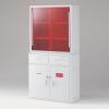 强化氯乙烯制药品库強化塩ビ製薬品庫CABINET PVC
