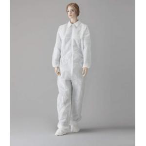 ディスポーザブルつなぎ服　１０入 |||２－２１Ｗ　ＫＴ　ＸＸＬサイズ  