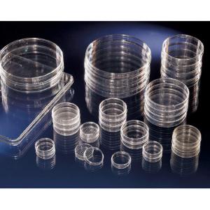 ヌンク　ペトリディッシュ |||№１７１０９９　５００入り  