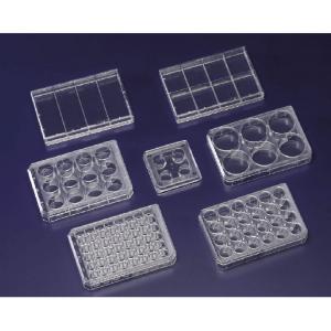 ヌンク　マルチディッシュ　6ｳｪﾙ |||№１５０２３９　７５入  
