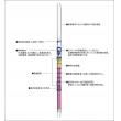 ガステック　ガス検知管 |||１ＨＨ　一酸化炭素  