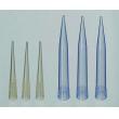IWAKI　ブルーチップ |||Ｐ－ＴＩＰ－Ｂ　１０００入  